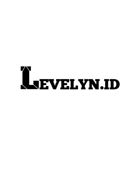 Logo LEVELYN.ID